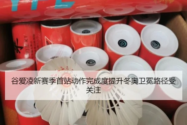 谷爱凌新赛季首站动作完成度提升冬奥卫冕路径受关注